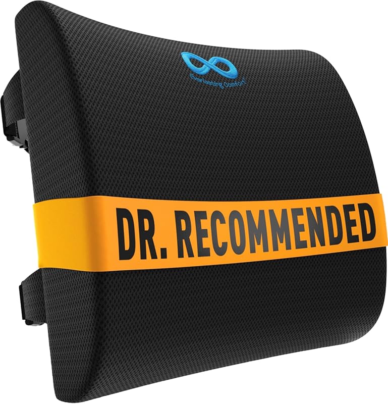 Everlasting Comfort Original Lumbar Support Pillow for Office Chair and Car