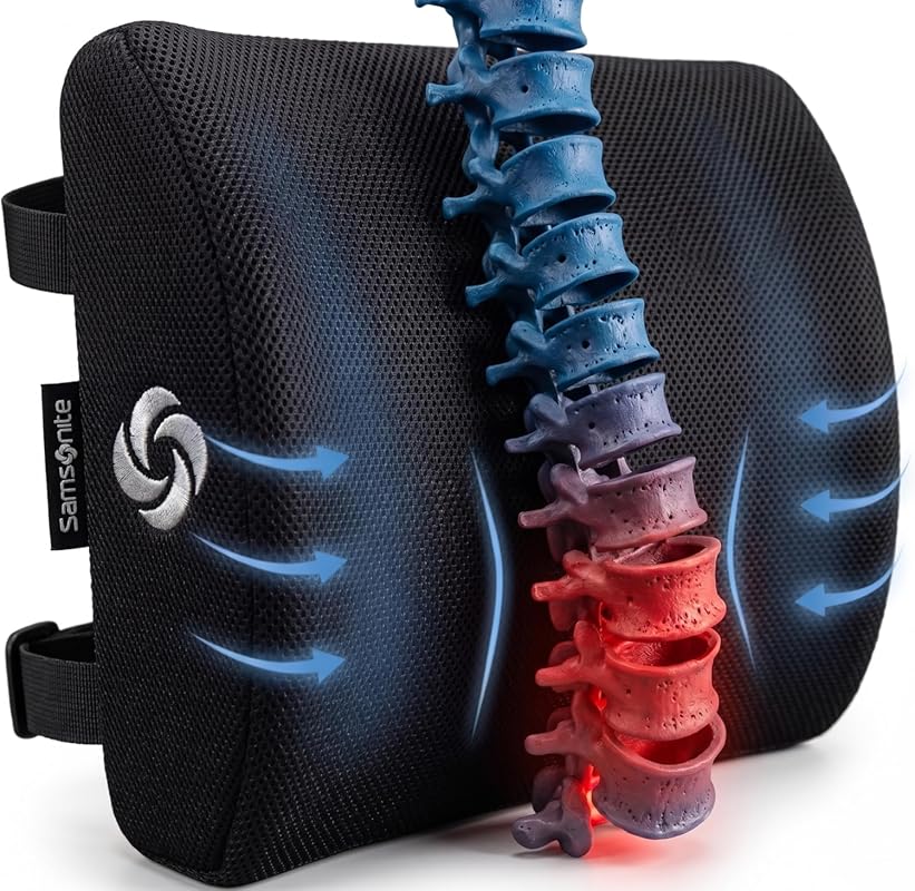 Samsonite Memory Foam Lumbar Support Pillow for Office Chair and Car