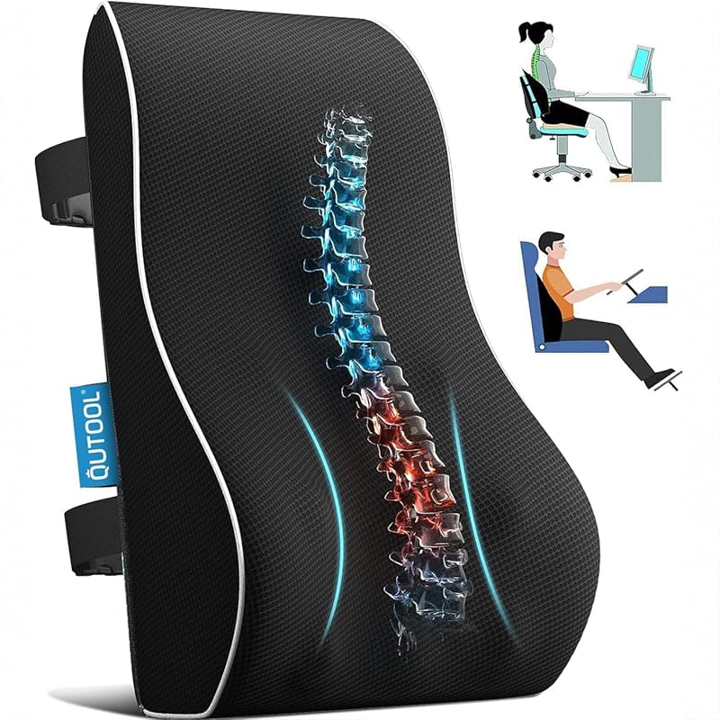 Adjustable Lumbar Support Pillow for Office Chair and Car, Mesh Back Cushion
