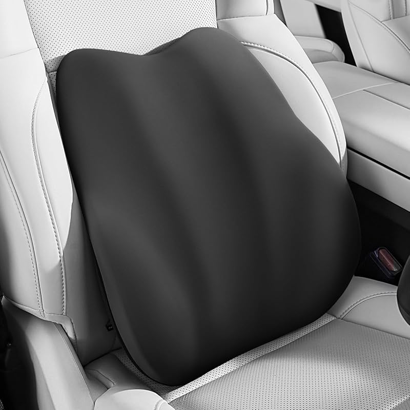 BEBAS Memory Foam Lumbar Support Pillow for Car, Office Chair, and Wheelchair
